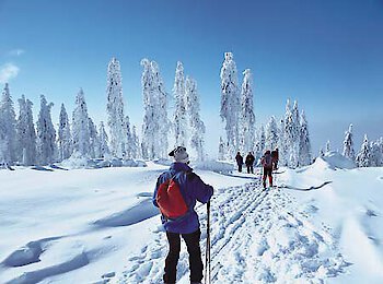 Silvesterurlaub im Bayerischen Wald